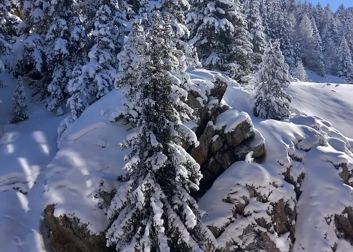 Plagne Bellecote * La Plagne